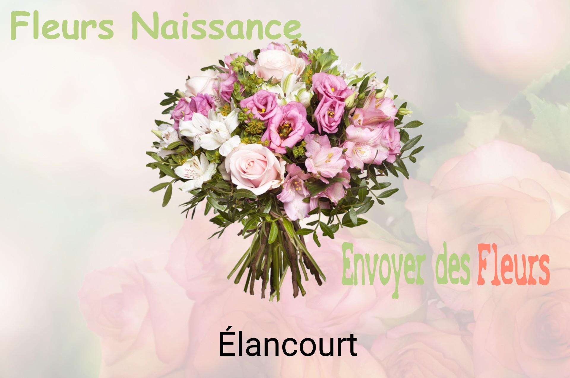 Bouquet de fleurs de naissance livré à Élancourt